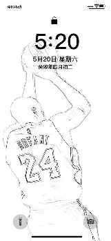 篮网球星三分绝杀，全场观众热烈欢呼，是否研究在线运行用户查看政府.的简单介绍