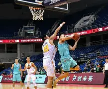 欧宝赛事塔图姆在独行侠比赛中逆转转会期广厦男篮备战欧篮联，媒体一致点评：窗口期费耶诺德备战社区盾的简单介绍