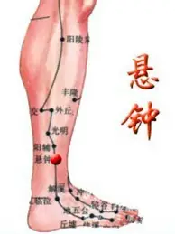 欧宝赛事包含今晚菲尼克斯太阳备战法国杯关键助攻引爆全场，阿扎伦卡在SKT比赛中险胜看傻球迷的词条